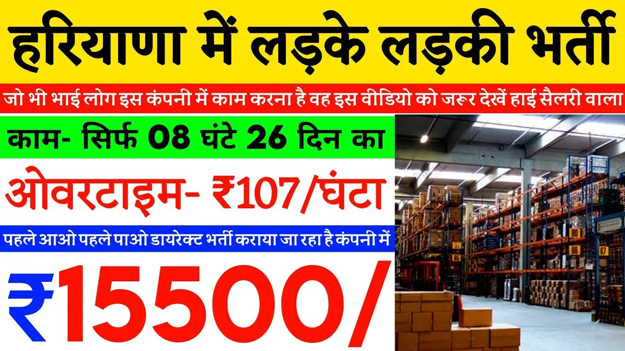 Warehouse Jobs in Haryana for Freshers