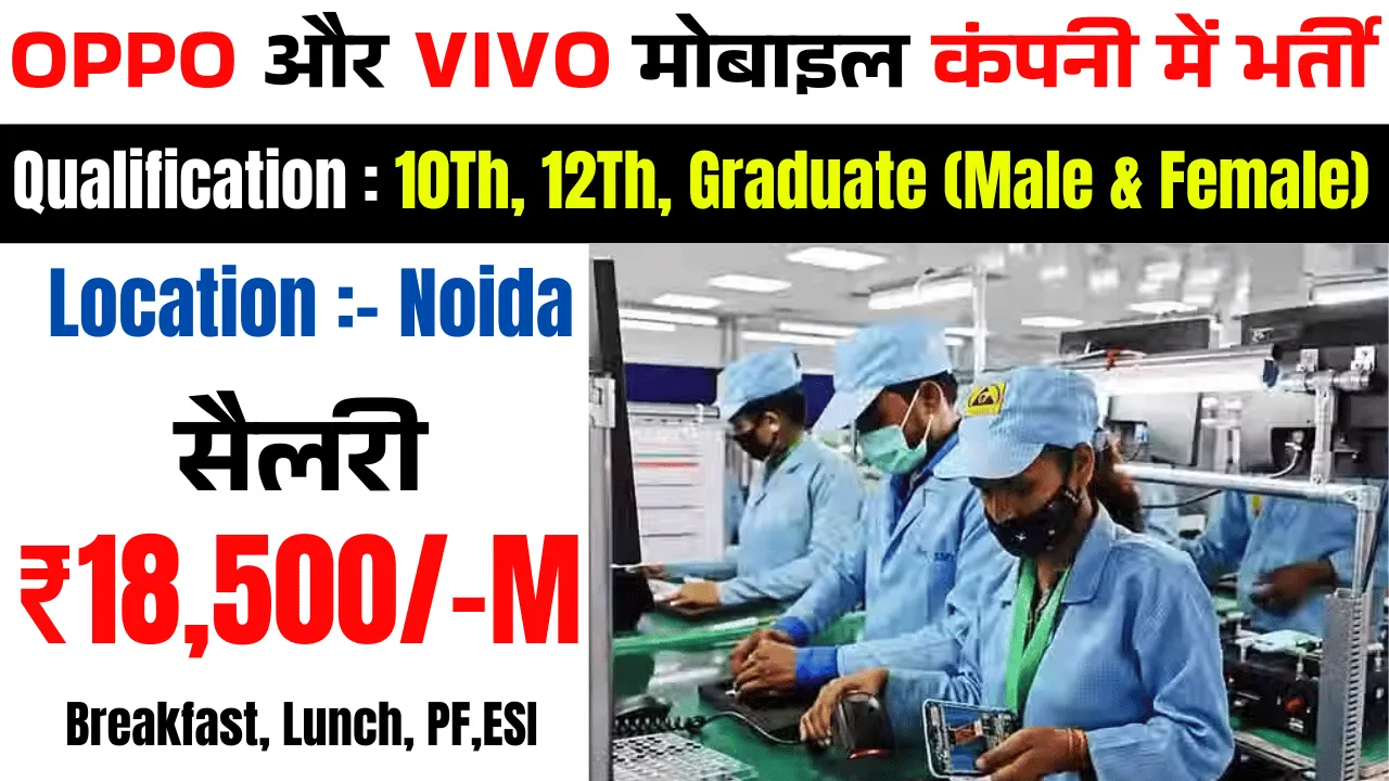 Noida Mobile Company Job Vacancy for Freshers