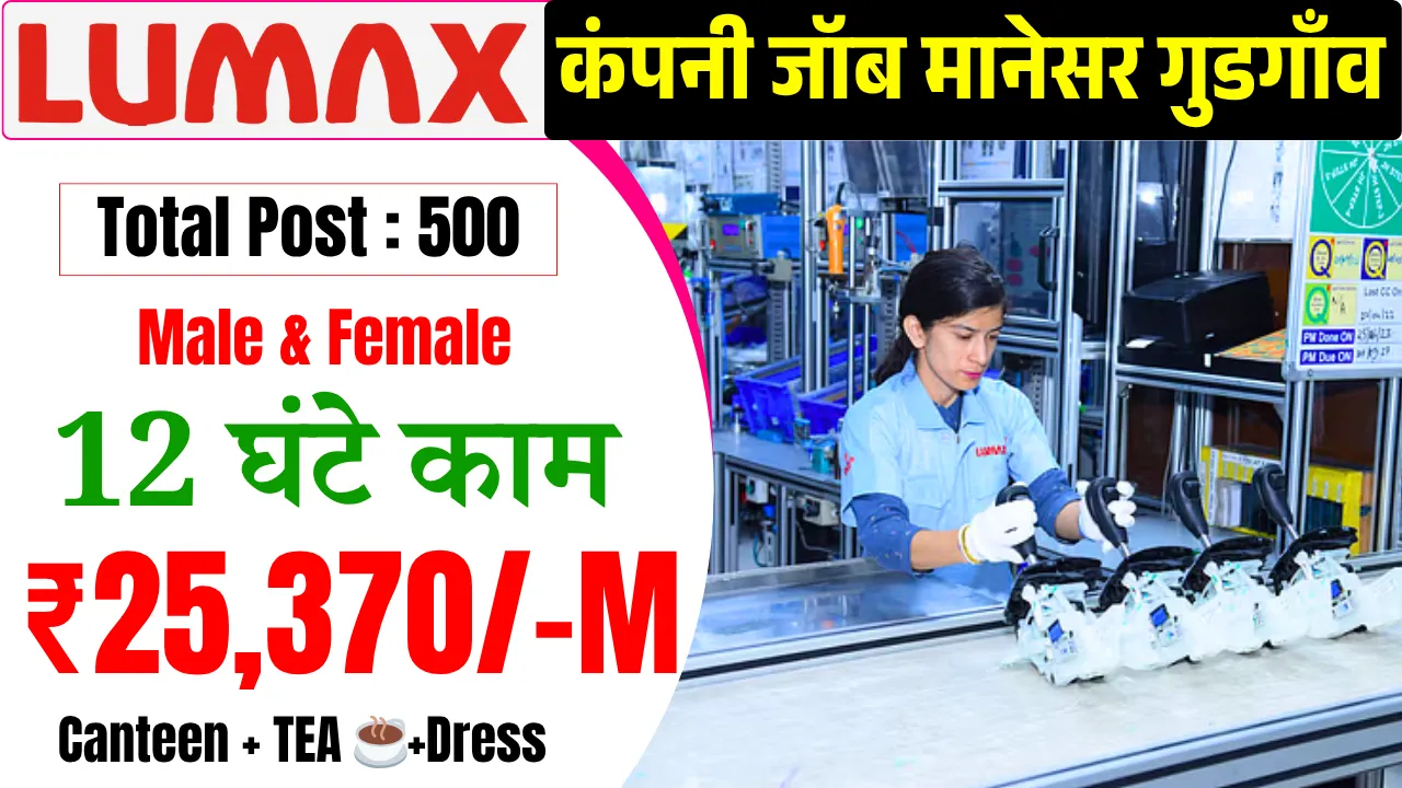 Lumax Company Job Vacancy 2025