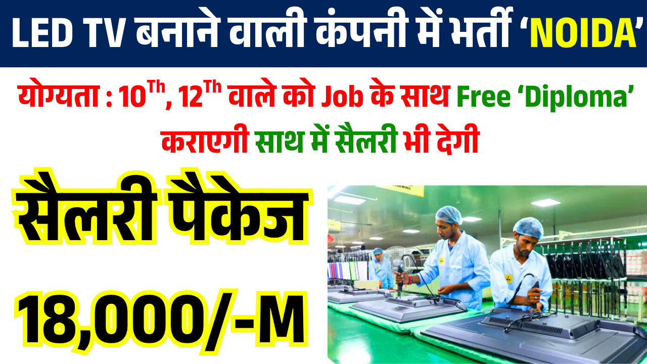 Urgent Job Requirement in greater Noida